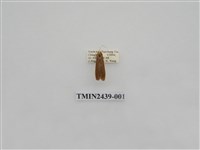 藏品(黃達頂苔蛾)的圖片